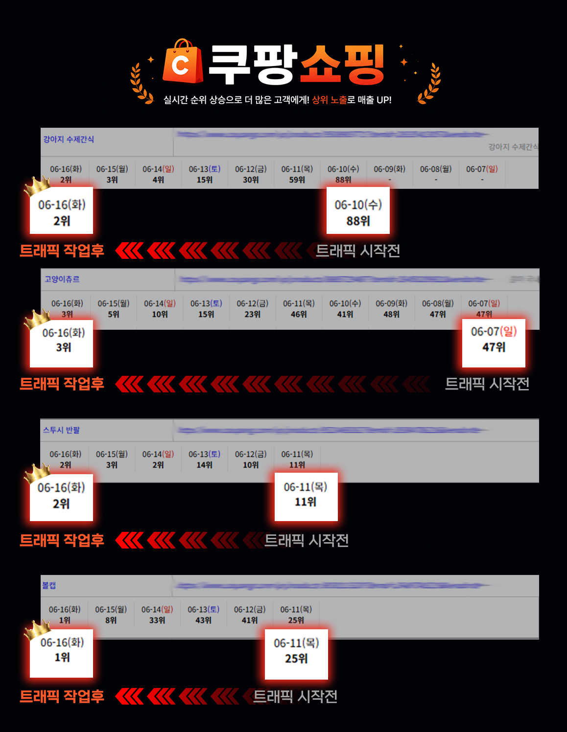 쿠팡쇼핑 순위변동